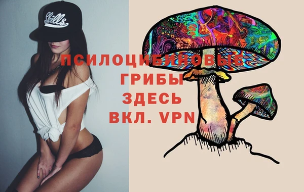 бошки Богородск